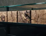 1 (1)